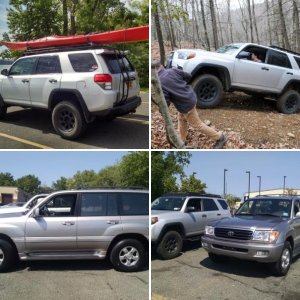 The trucks
