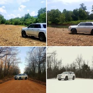 2010 Limited