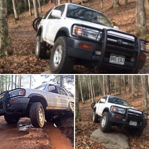 97 Pics
