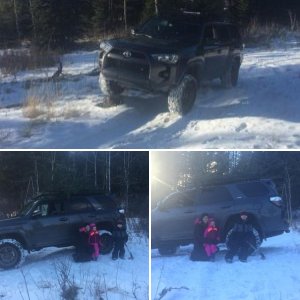 Tree run 2015