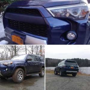 my t4r