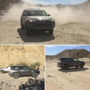 Anza- Borrego