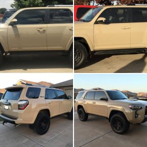 ZRunner 2016