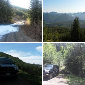 Forrest Roads