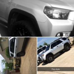 2011 TRAIL