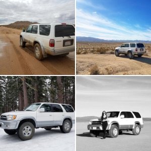 LolaTheYota