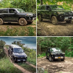 My Trail