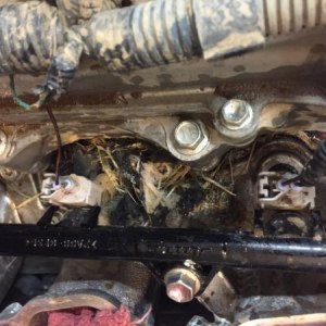 Repair and Upgrade Album