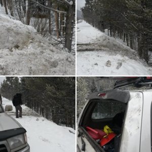 TREE=1 4Runner=0