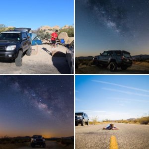 Joshua Tree