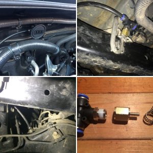 Champ Updates