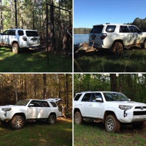 2016 Super White TE