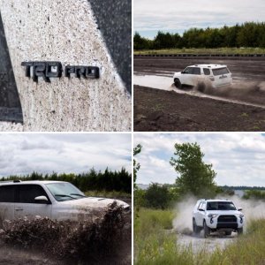 The Turd Pro
