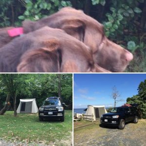 Some camping pics