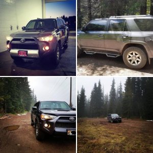 The Adventures of Ryker 2016