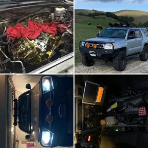 MysticZ 05 Runner