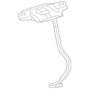 Misc Pictures