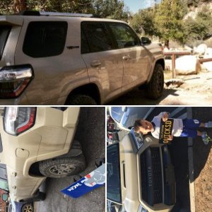Quicksd_trd