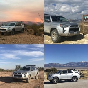 2016 T4R TRAIL