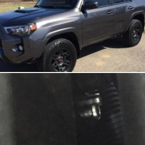 Screw