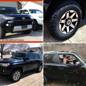 2017 4Runner TRD Off Road P