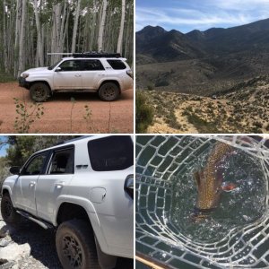 4runner and fun