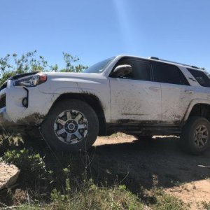 Dirty Runner