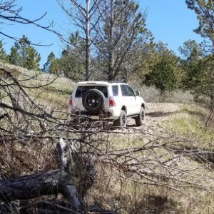 Black Hills, SD