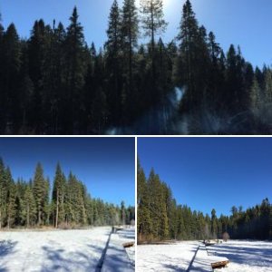2016 - Dec. -- Big Trees St Park