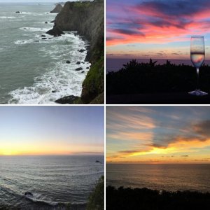 2017 - Jan. -- Mendocino Coast