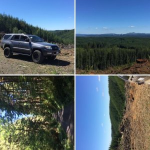 Logging Road