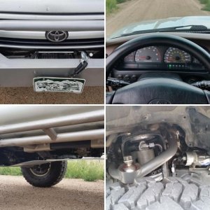 Jeff the Marmot - 2000 4Runner