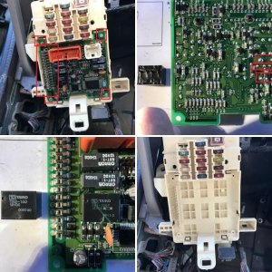 bruised mild build