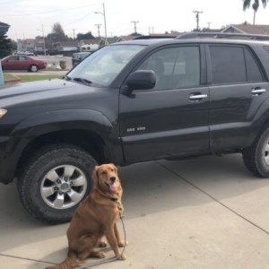 Various pictures of my baby