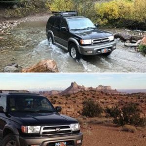 Stella the 4runner