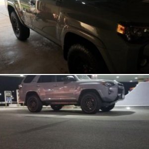 Trd pro