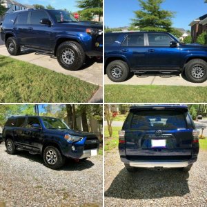 Blue Runner