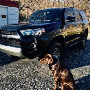 5th gen Trail P*