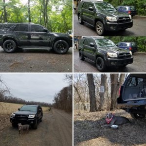 2009 4Runner V6 Limited 4WD