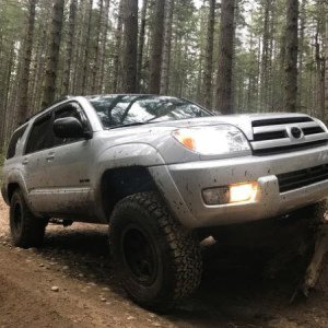 Muddy