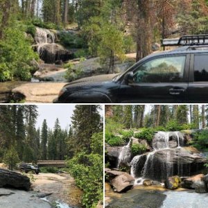 Sierra National Forest 2018