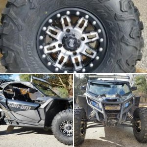 Newest Toy