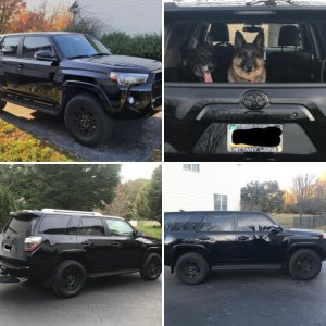 2018 SR5 P