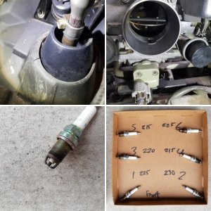 Sandy -- 98 SR5 Manual Transmission 5VZ-FE