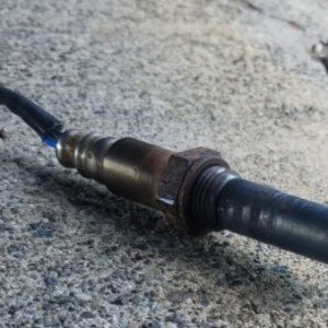 Duffdog o2 sensor