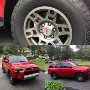 2019 Trail