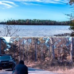 Uwharrie, NC