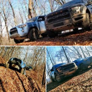 Thanksgiving Adventures