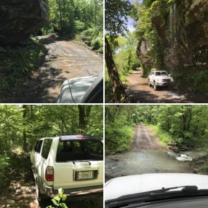 2002 4Runner SR5 "Sharkbait Hoo Ha Ha"