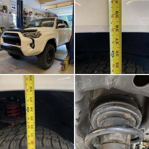 Westcott Design Fox Lift Kit